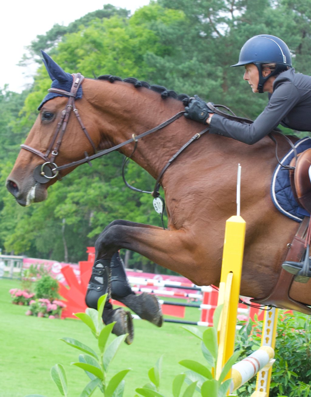 Cheval et cavalier franchissant un obstacle en saut d’obstacles lors d’une épreuve de compétition.