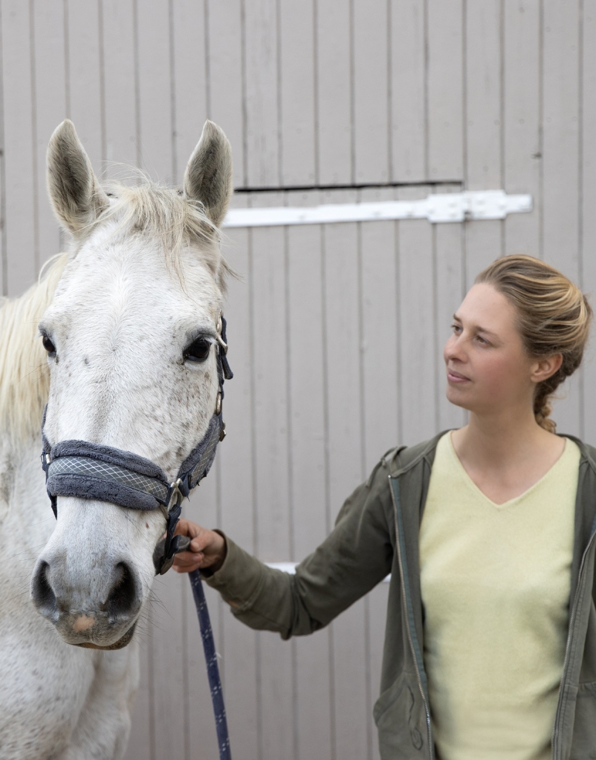 Séance d’équicoaching avec un cheval tenu en main, accompagnement individuel par un coach à La Bidauderie.