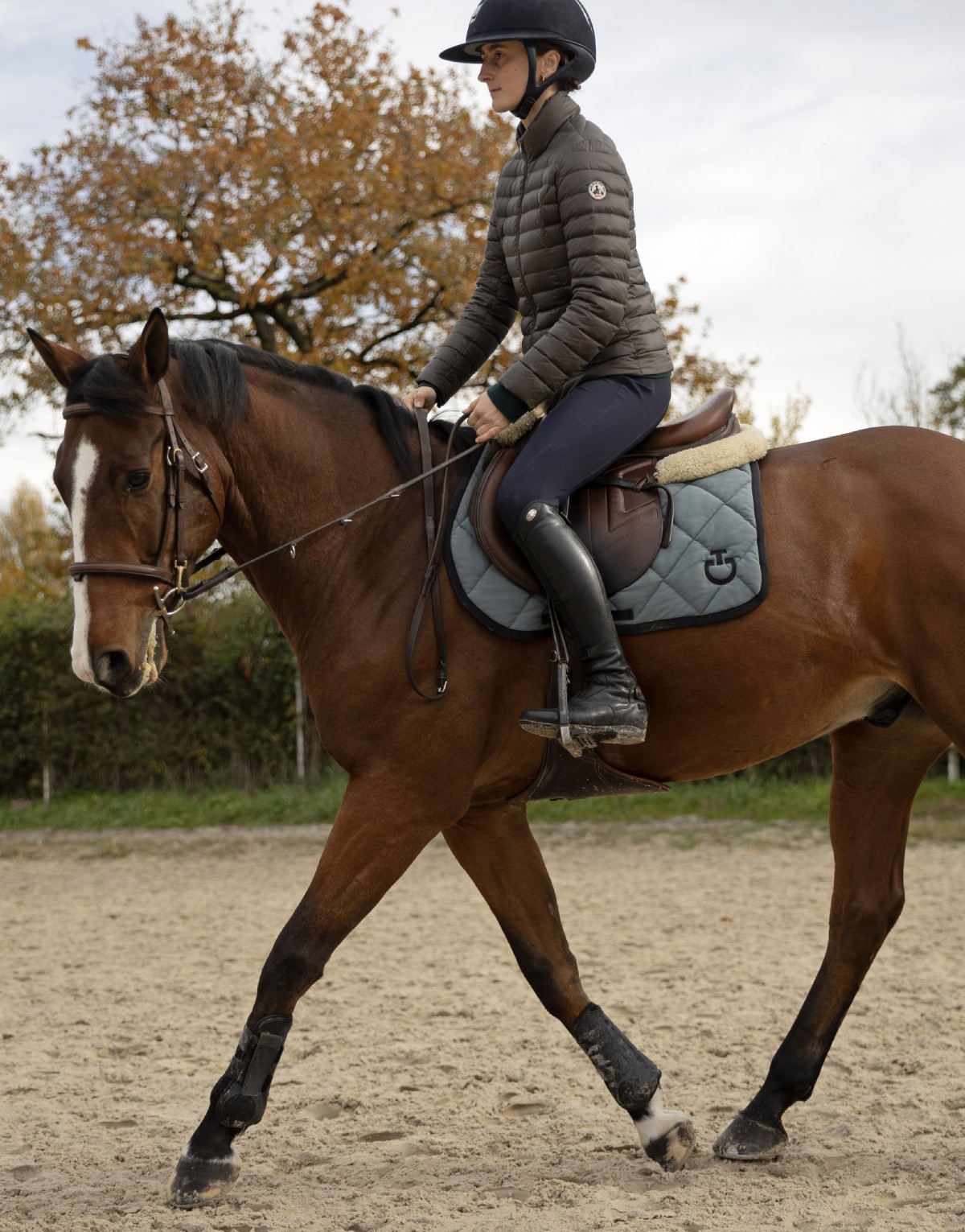 Cavalière montée au pas sur un cheval équipé d’une selle et d’un tapis d’équitation, exercice monté en carrière extérieure avec équipement complet du cheval et du cavalier.