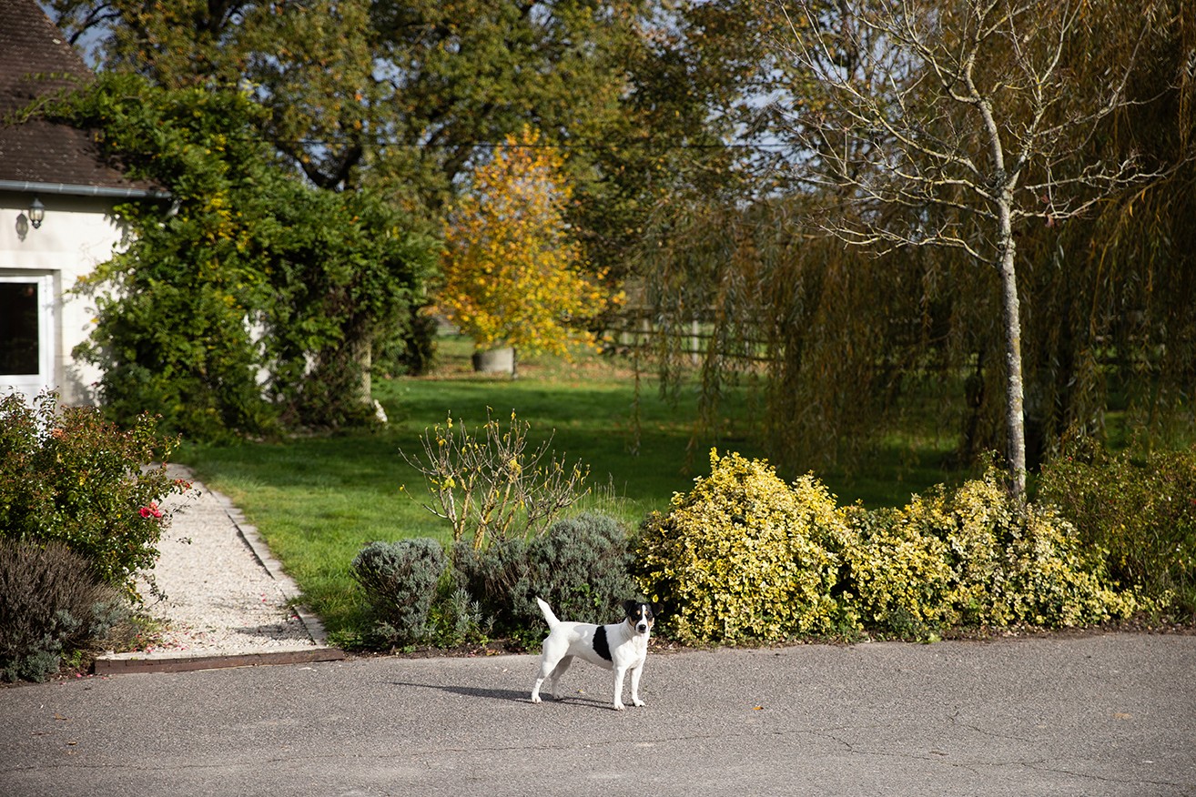 gite-la-bidauderie-4