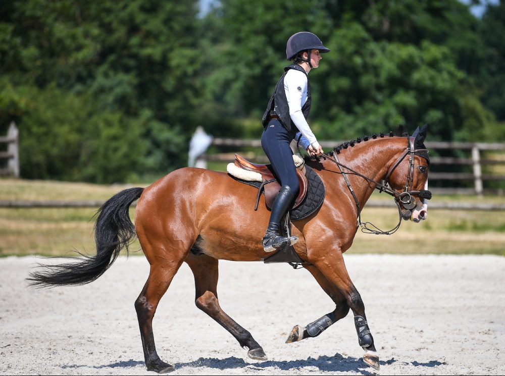 Cavalière en tenue d’équitation travaillant un cheval bai en carrière extérieure avec selle anglaise et protections